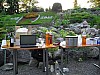 SDC10474.jpg