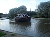 SDC10520.jpg